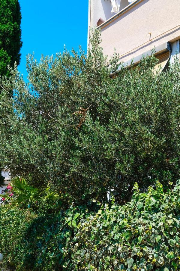 Olive Shade - Apartment Near The Beach Split Eksteriør bilde